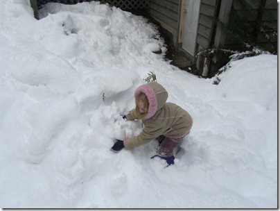 Snow day