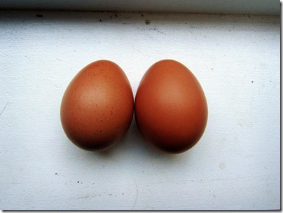 todayeggs