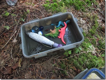 geocache4